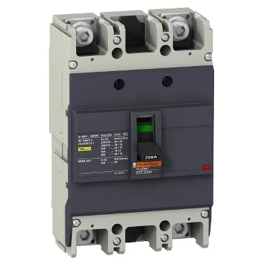 Выключатель автоматический двухполюсный EZC250 36 KA/415В 2Т 125 A