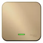 Переключатель BLANCA одноклавишный наружный (схема 6) с подсветкой и изоляционной пластиной 10а 250b титан