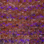 Гирлянда "Сеть" 2х1,5м, черный ПВХ, 288 LED Белые/Синие | 215-022 | NEON-NIGHT