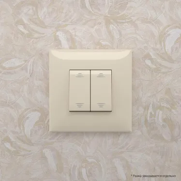 Avanti Выключатель двухклавишный в стену, ''Ванильная дымка''