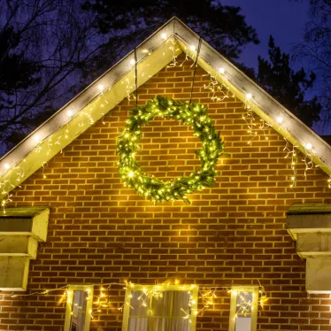 Шнур Belt-Light 2 жилы шаг 15 см патроны e27 влагостойкая IP65 белый шнур | 331-251 | NEON-NIGHT