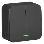 Выключатель BLANCA двухклавишный наружный (схема 5) с подсветкой и изоляционной пластиной 10а 250b антрацит