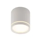 Светильник накладной IP20 5 Вт LED 3000 К бел. алюм./акрил DENKIRS DK4016-WH