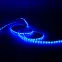 Лента светодиодная LED 2835/60-SMD 4.8 Вт/м 210 лм/м Синий DC 12В IP66 8мм (блистер 5м) Black Gauss