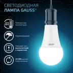Лампа светодиодная LED 16 Вт 1520 лм 4100К А60 груша нейтральный E27 AC 220В Black Gauss