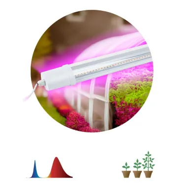 Светильник для растений, фитолампа светодиодная линейная FITO-24W-RB-N красно-синего спектра 24 Вт