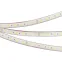 Лента герметичная RTW-PFS-B60-13mm 24V Day5000 (14.4 W/m, IP68, 5060, 5m) (, 14.4 Вт/м, IP68)