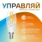 Лампа светодиодная филаментная Smart Home DIM+CCT E14 C35 4,5 Вт 2000-6500 К 1/10/40 | 1250112 | Gauss