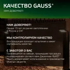 Светильник садово-парковый LED Electra столб, 10W, 600Lm, 4000K, 134x137x580mm, 170-240V / 50Hz, IP54 | GD110 | Gauss