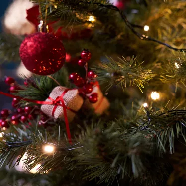 Гирлянда "Твинкл Лайт" 10 м, темно-зеленый ПВХ, 80 LED, цвет ТЕПЛЫЙ БЕЛЫЙ | 303-046 | NEON-NIGHT