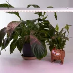 Светильник светодиодный ДПО-18w для растений и рассады IP40 с выключателем и сетевым шнуром