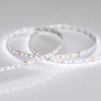 Лента светодиодная MICROLED-M240-8mm 24V White-CDW (9.6 W/m, IP20, 2216, 5m) (arlight, Открытый) | 024507(2) | Arlight