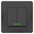 BLANCA скрытой установки двухклавишный выключатель (cх.5) с подсв., 10A, 250B, антрацит