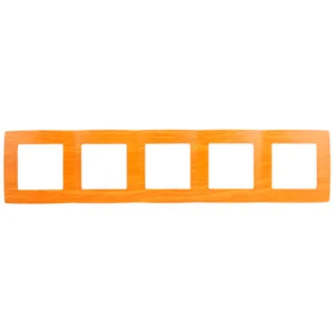 Рамка на 5 постов, Эра12, ольха, 12-5005-07