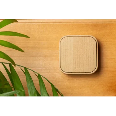 Quteo Переключатель одноклавишный наружный дерево 10А