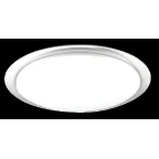 Светильник светодиодный ДБО-60w матовый круглый с эффектом ''звездное небо''