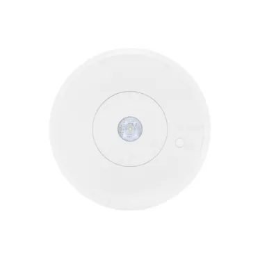 Указатель аварийный светодиодный ORBIT 6500-2 LED 2Вт 1ч IP65 централизованный накладной | 4502003810 | Световые Технологии