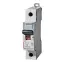 Выключатель автоматический однополюсный 6А B DX3-E 6кА