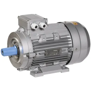 Электродвигатель 3ф АИС 100LC4 380В 4кВт 1500об/мин 2181 | ONS100-C4-004-0-1521 | ONI