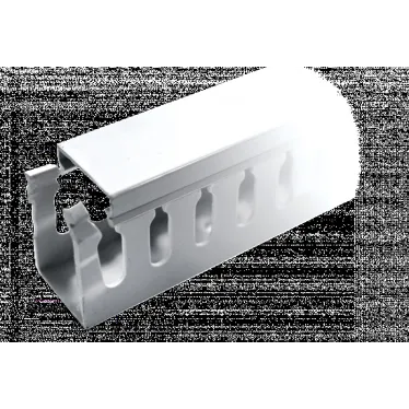 Канал кабельный перфорир. (ВхШ: 80х60мм.) PROxima