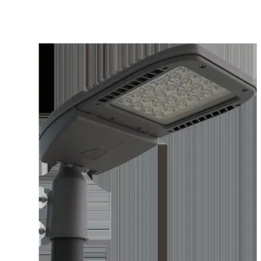 Светильник уличный ДКУ64-60-001 Premier 750 63Вт 5000К IP65 | 1201506001  | АСТЗ