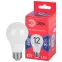 Лампа светодиодная LED A60-12W-865-E27 R (диод, груша, 12Вт, хол, E27) (10/100/2000)