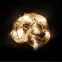 Гирлянда сеть 240LED 2700К 2х2м