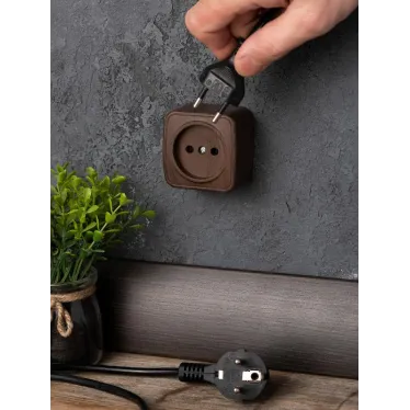 Розетка 1-местная ОП Минск 10А без заземления темное дерево