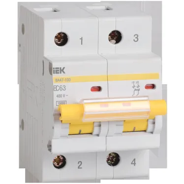Выключатель автоматический двухполюсный 80А С ВА47-100 10кА