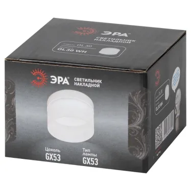 Светильник настенно-потолочный спот OL30 WH GX53 белый