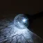 Светильник уличный Капля на солнечной батарее холодный белый высота 33 см 1 LED ERASF23-15 ЭРА