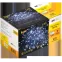 LIGHTING Гирлянда нить 10м 100 светодиодов белый свет IP44 прозрачный шнур 3м 230В контроллер 8 сцен IEK
