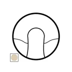 Celiane Лицевая панель для вывода кабельного бежевая