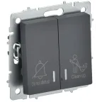 BRITE Выключатель 2-клавишный с индикацией для отелей 10А ВС10-2-9-БрГ графит IEK