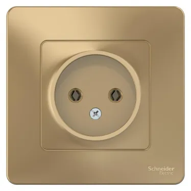 BLANCA скрытой установки розетка без заземления без шторок 16А, 250В, титан