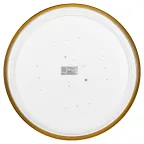 Светильник потолочный светодиодный Relict 48 Pult SPB-6-60-RC MG с ДУ 60Вт 3000-6500К Золото