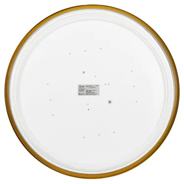 Светильник потолочный светодиодный Relict 48 Pult SPB-6-60-RC MG с ДУ 60Вт 3000-6500К Золото