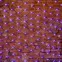 Гирлянда "Сеть" 2x4м, черный КАУЧУК, 560 LED Белые/Синие | 217-133 | NEON-NIGHT