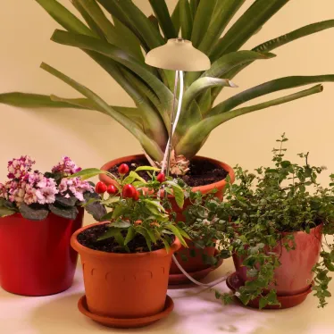 Светильник светодиодный настольный фито для растений/для грунта белый спектр FITO-12W-FLED | Б0039068 | ЭРА