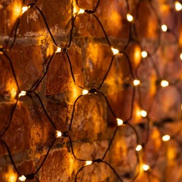 Гирлянда "Сеть" 1х1,5м, черный ПВХ, 160 LED Тёплый белый | 215-116 | NEON-NIGHT