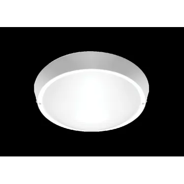 Светильник светодиодный ДБП-24Вт 4000К 1800Лм IP65