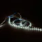 Лента светодиодная Basic LED 2835/60 12V 4,8W/m 312lm/m 3000K 8mm IP20 2m 1/100 | BT003 | Gauss
