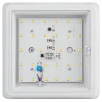 Светильник ЖКХ светодиодный SPB-302-2-4K-10 IP20 10Вт 4000К