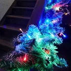 Гирлянда "Твинкл Лайт" 15 м, прозрачный ПВХ, 120 LED, цвет Мультиколор | 303-199 | NEON-NIGHT