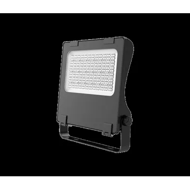 Светильник ДО-08-100-301 FLG 750