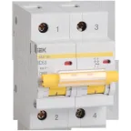 Выключатель автоматический двухполюсный 100А С ВА47-100 10кА