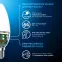 Лампа светодиодная Свеча 6.5W 550lm 6500К E14 LED 1/10/100 | 103101307 | Gauss