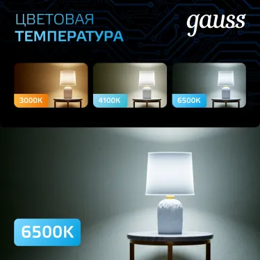 Лампа светодиодная G95 16W 1400lm 6500K E27 LED 1/20 | 105102316 | Gauss
