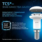 Лампа светодиодная R39 4W 370lm 6500K Е14 LED 1/10/100 | 106001304 | Gauss