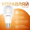 Лампа Светодиодная Smart Home DIM E27 A60 10 Вт 2700К 1/10/40 | 1070112 | Gauss